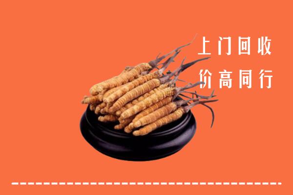 高价求购：上饶回收散虫草